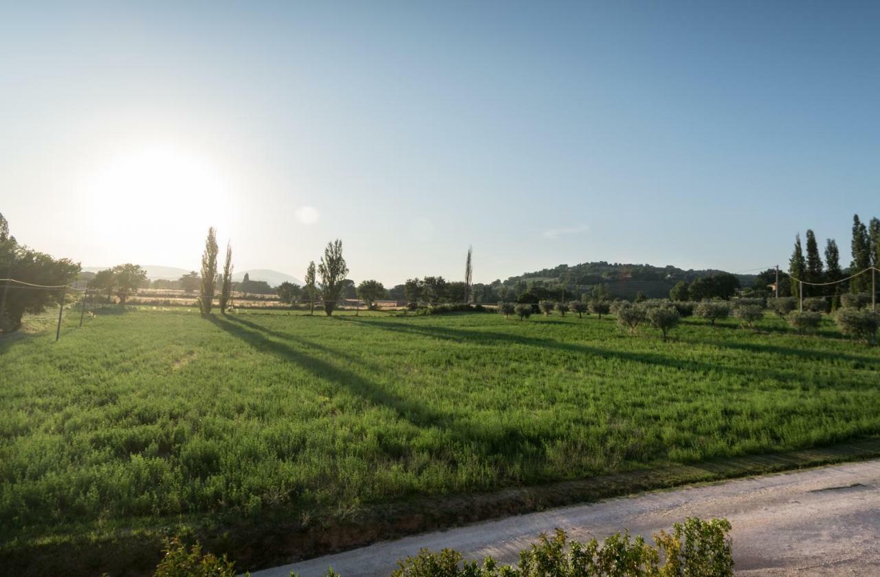 Bed & Breakfast Al Pian D'Assisi Exteriér fotografie