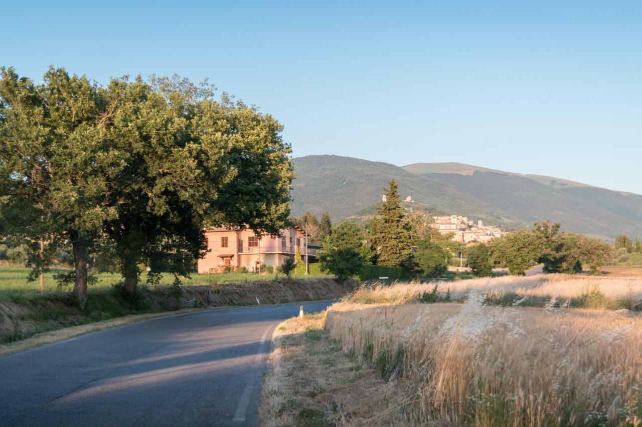 Bed & Breakfast Al Pian D'Assisi Exteriér fotografie